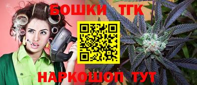 индика Кулебаки