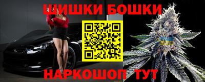 индика Кулебаки