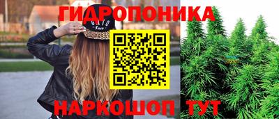 индика Кулебаки